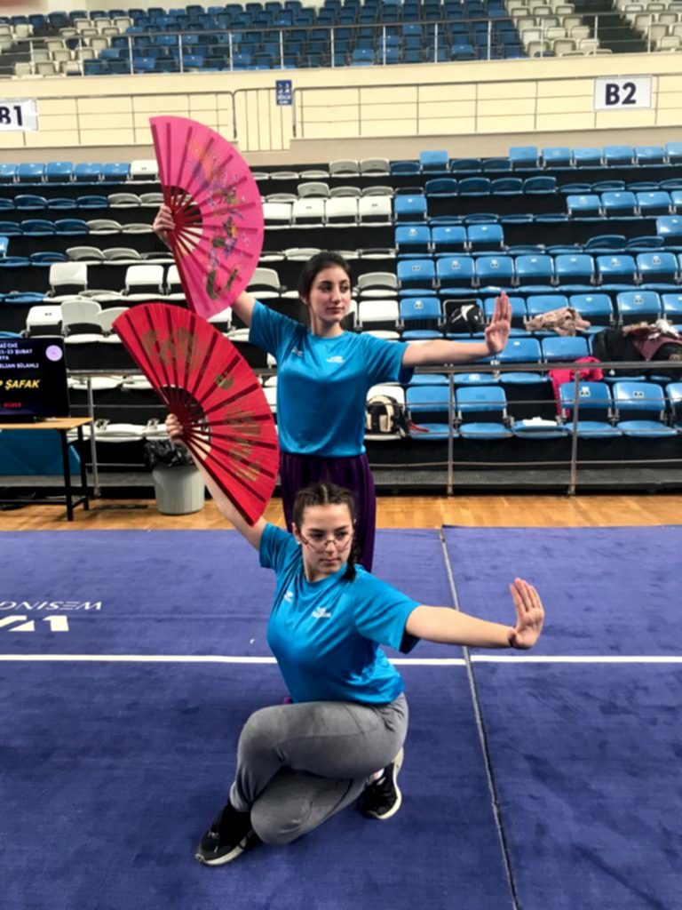 Tai Chi Şampiyonası gorseli