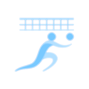 Voleybol ikonu